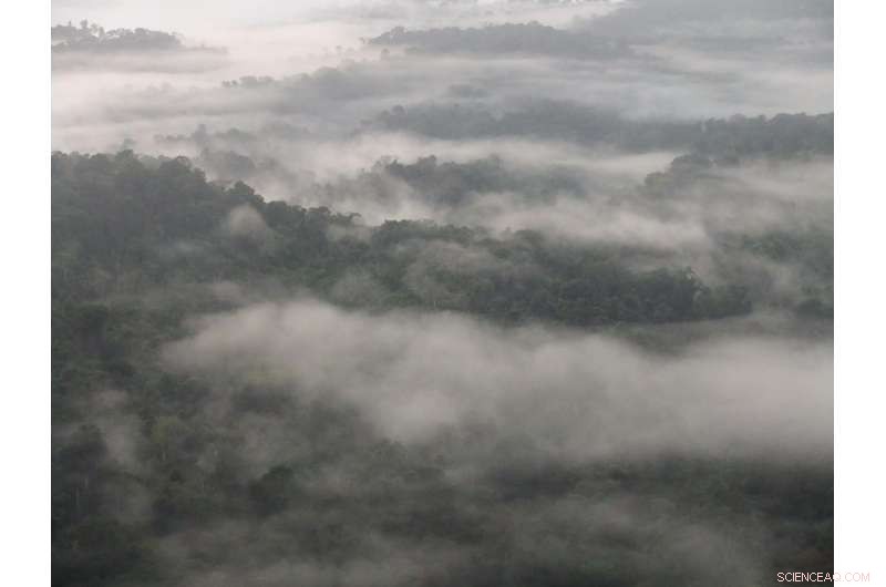 Beyond Carbon: Why Climate Policies Alone Cannot Protect Earth s Most Diverse Tropical Forests