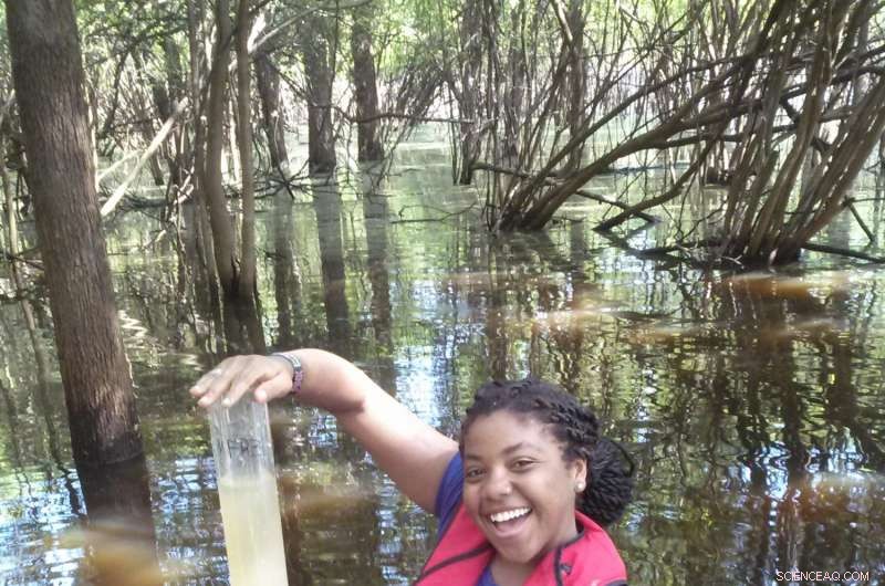 Restored Floodplain Revitalizes Mississippi River: How Nature’s Filter Heals the Ecosystem