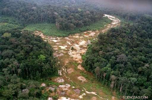 Norway launches $400M rainforest fund to curb deforestation in Brazil