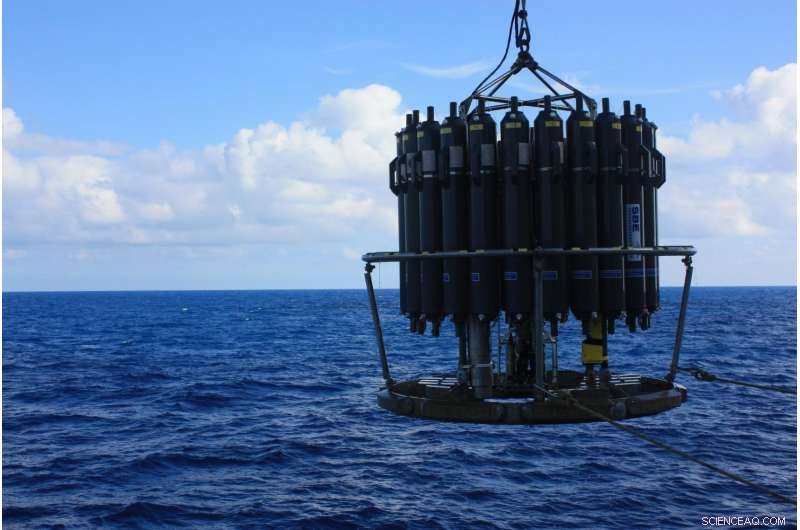 Vitamin B-12 and Its Knockoffs Drive a Complex Marine Vitamin Market