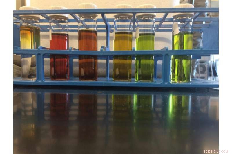 Vitamin B-12 and Its Knockoffs Drive a Complex Marine Vitamin Market