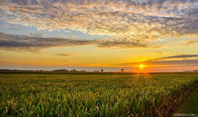 Bridging the Gap: Michigan State Study Shows Real-World Impact of Sustainable Farming Practices