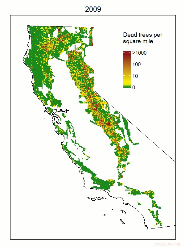 Forest Resilience Under Drought: How Much Dryness Can Trees Withstand?