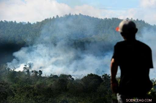 Activists Accuse Indonesia s Largest Pulp Mill of Severe Environmental Damage
