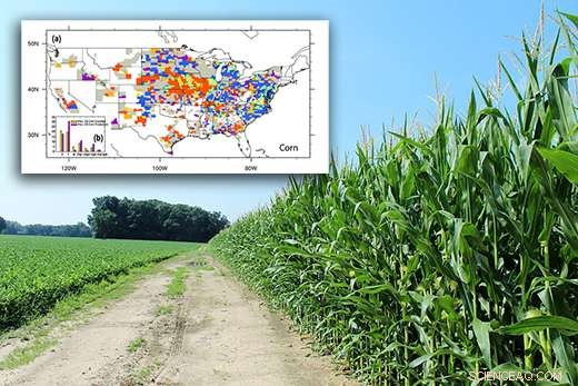 County-Level Variability in U.S. Bioenergy Crop Yields: Insights & Implications