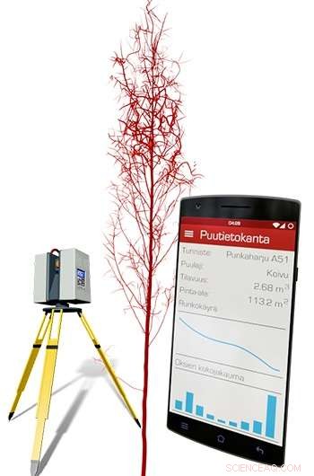 New AI Method Accurately Identifies Tree Species in Real Time