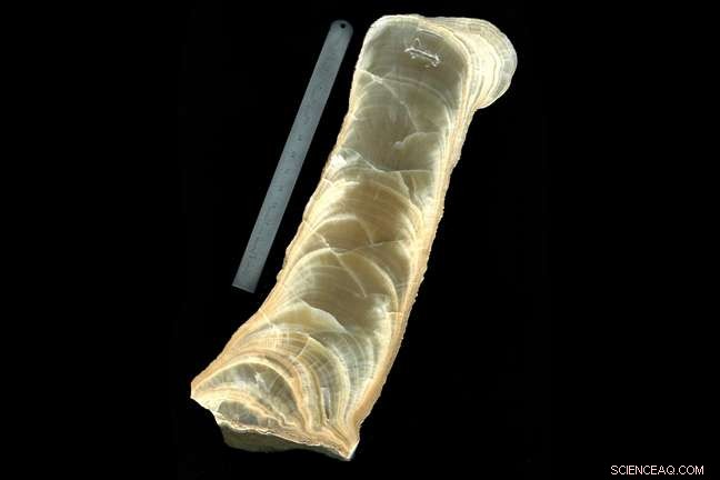 Central Chinese Caves Reveal Long-Term Flooding History