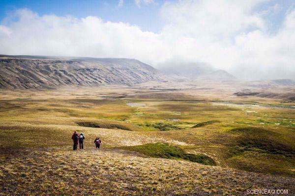ACE Expedition Concludes First Leg Around Antarctica, Arrives in Hobart
