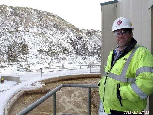Mass Bird Mortality Highlights Dangers of Toxic Berkeley Pit Water