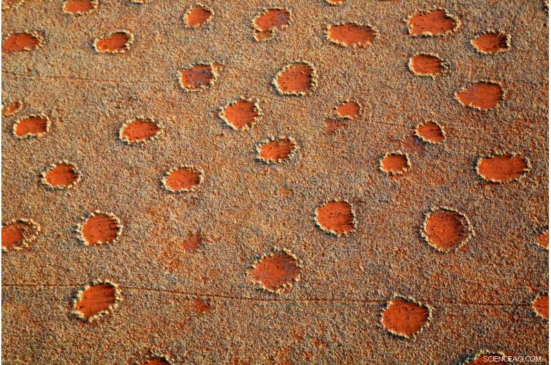 African Fairy Circles: A Blueprint for Nature’s Repeated Patterns