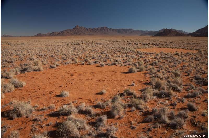 African Fairy Circles: A Blueprint for Nature’s Repeated Patterns