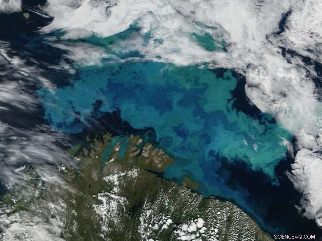 From Phytoplankton to Tuna: Climate Change s Impact on Ocean Energy Flow