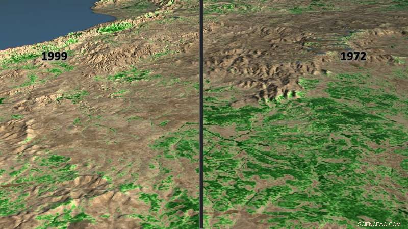 Satellite Imagery Revolutionizes Chimpanzee Conservation