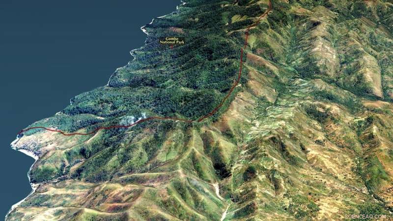 Satellite Imagery Revolutionizes Chimpanzee Conservation