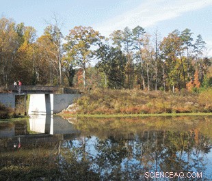 Researchers Highlight Critical Role of Stormwater Studies