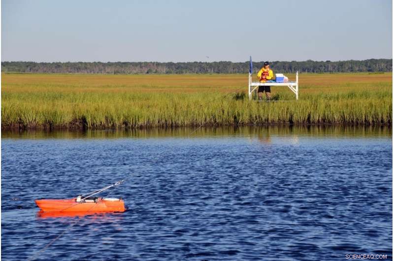 Rapid Method Predicts Salt Marsh Vulnerability with High Accuracy