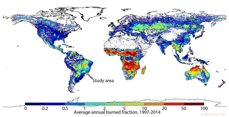 Agricultural Fires in Brazil Endanger Infant Health: A Global Warning