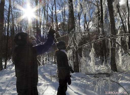 Scientists Create Controlled Ice Storms to Study Climate Effects
