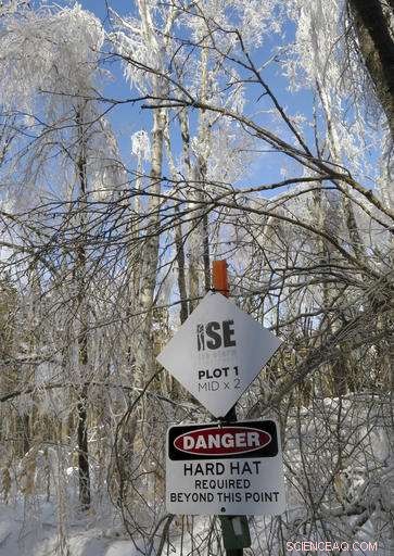 Scientists Create Controlled Ice Storms to Study Climate Effects