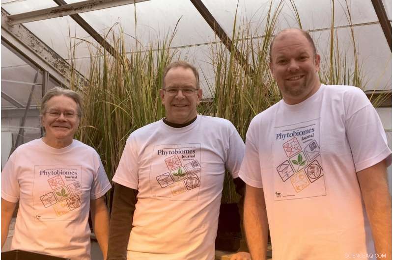 Study Reveals Impact of Salt Marsh Plant Loss on Atlantic Coastal Ecosystems