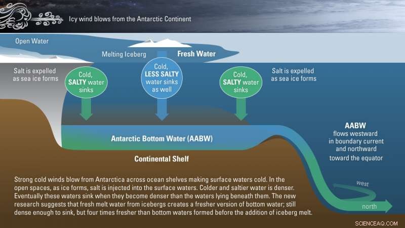 Antarctic Bottom Waters Freshening Faster Than Anticipated, Impacting Global Climate