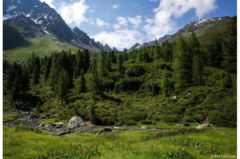 Study Reveals Climate Change Threatens Mountain Ecosystems