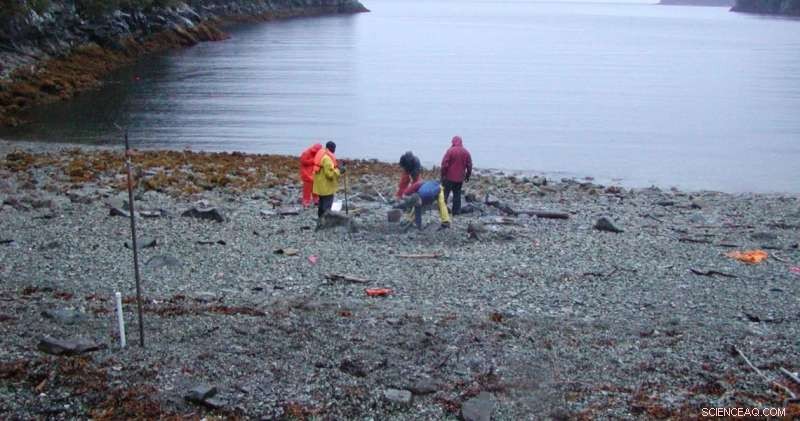 From a Crab’s Perspective: Rising Tides Threaten Coastal Ecosystems