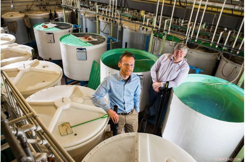 Evaluating the Environmental Impact of Hydraulic Fracturing on Aquatic Life