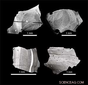 Unveiling the Trigger: The Largest Volcanic Eruption in Human History