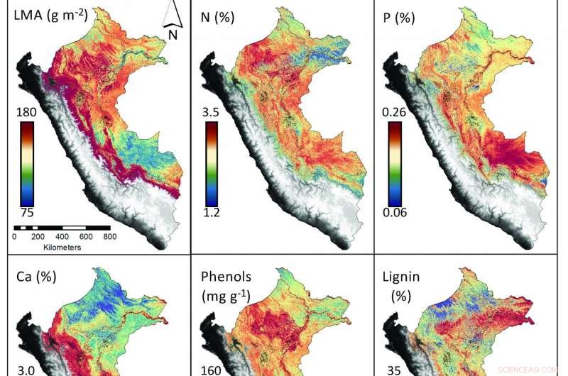 Advanced Remote‑Sensing Maps Reveal Key Conservation Hotspots in Tropical Forests