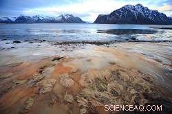 To Meet Climate Targets, Zero Emissions Must Be Reached by 2045 Amid Ice-Free Arctic Summers