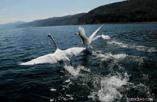 Macedonians Issue Urgent Call to Protect Europe s Oldest Lake