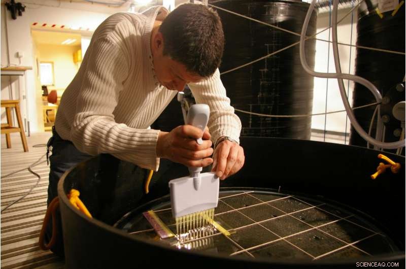 Mercury Levels in Aquatic Life May Surge by Up to 600% With Increased Land Runoff