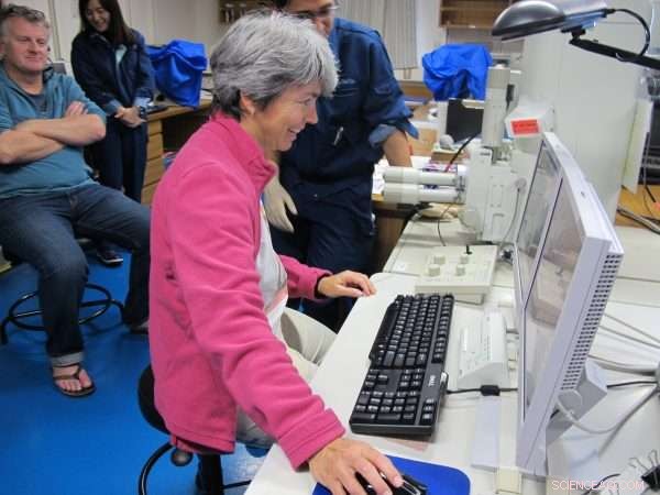 Andalusian Scientists Reconstruct the 9‑Million‑Year‑Old Gibraltar Arc