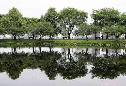 New Green View Index Reveals Cities Rich in Trees – Paris Lagging