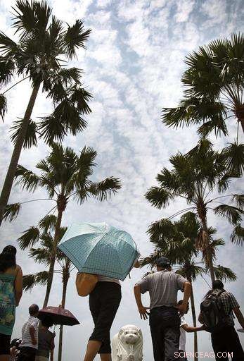 New Green View Index Reveals Cities Rich in Trees – Paris Lagging