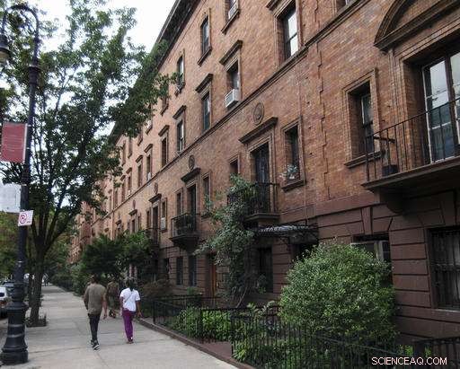 New Green View Index Reveals Cities Rich in Trees – Paris Lagging