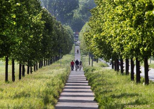 New Green View Index Reveals Cities Rich in Trees – Paris Lagging
