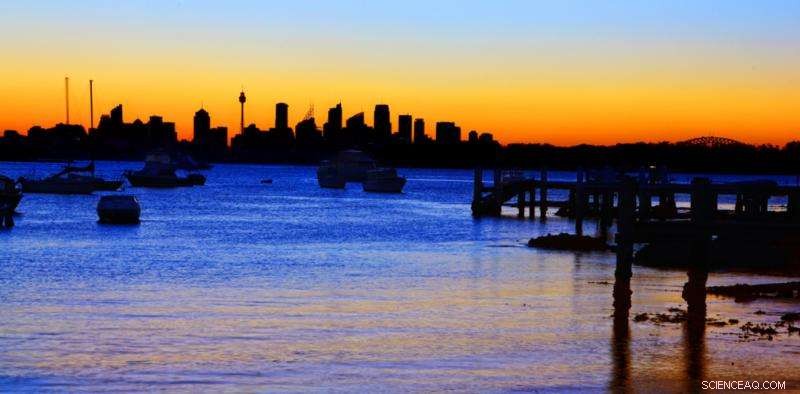 City-Wide Strategies Needed to Combat Rising Heatwaves