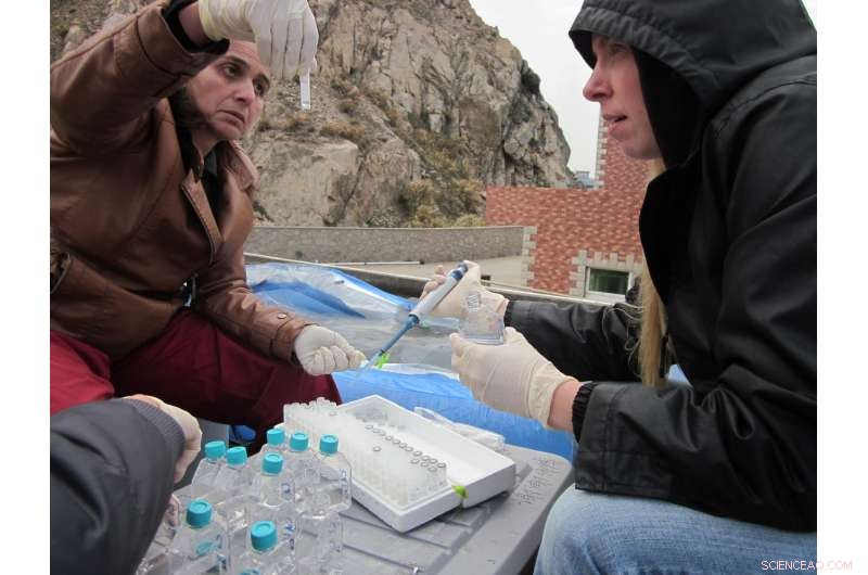 Industrial and Vehicle Emissions Threaten the East China Sea’s Natural Cycle