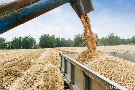 New Tool Empowers Food Industry to Set Credible Climate Targets