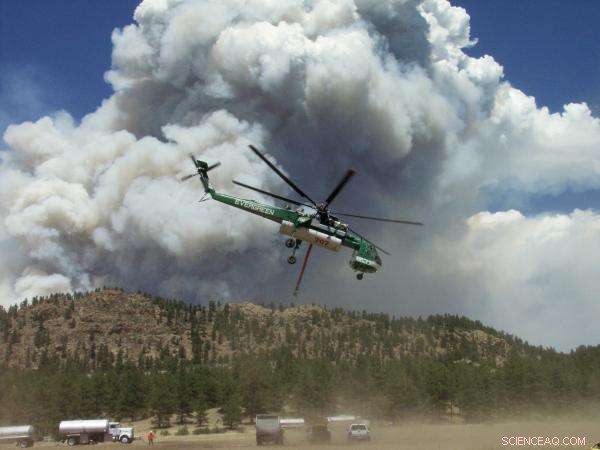 Colorado Forests Struggle to Rebound After Wildfires