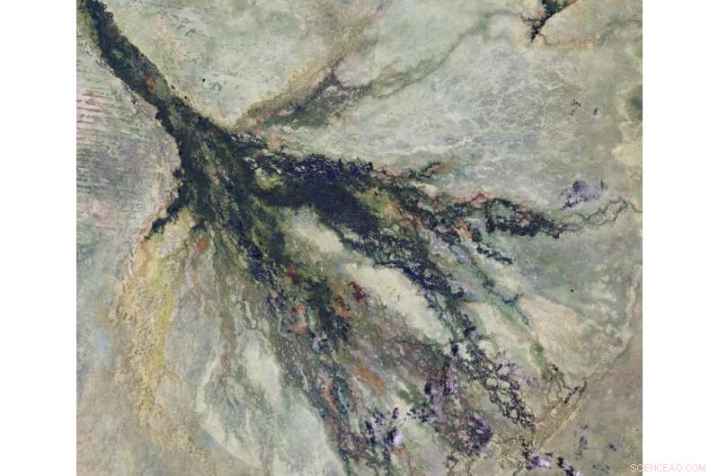 Copernicus Sentinel‑2A Satellite Unveils Botswana’s Okavango Wetlands