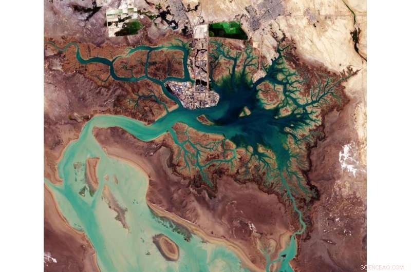 High-Resolution Sentinel‑2A Image of Musa Bay, Persian Gulf (Jan 2017)