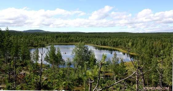 Brown‑Water Lakes’ Food Webs Show Greater Resilience to Nitrogen Deposition