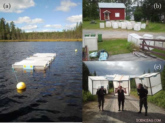 Brown‑Water Lakes’ Food Webs Show Greater Resilience to Nitrogen Deposition