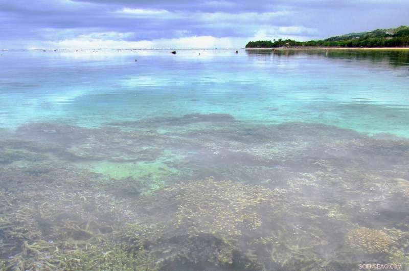 Optimal Size of Marine Protected Areas Is Key to Coral Reef Recovery