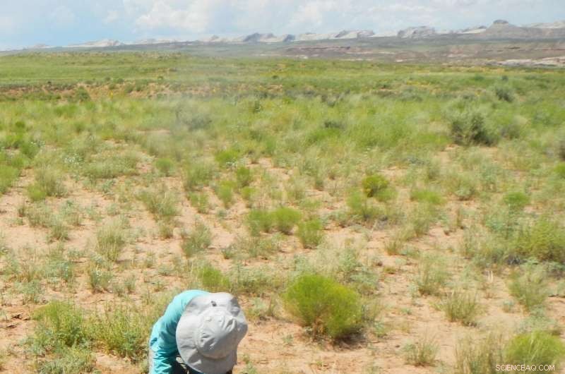 New Scientific Method Provides Reliable Land Recovery Assessments After Oil and Gas Drilling