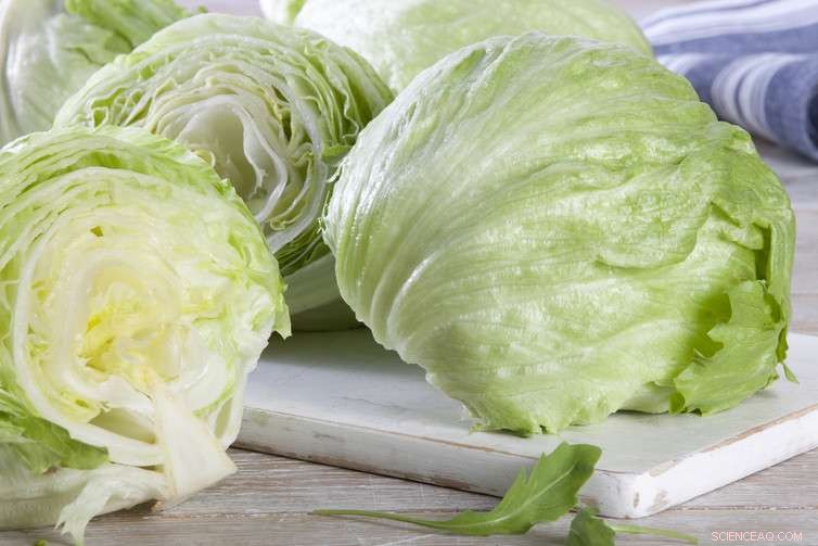 The Hidden Cost of Year‑Round Fresh Veg: What You Need to Know