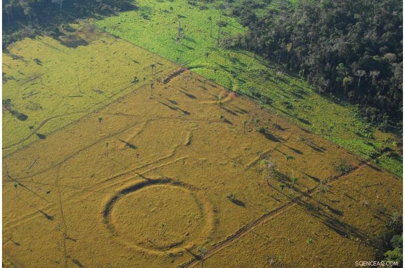 Hundreds of Ancient Amazonian Earthworks Revealed: A 2,000-Year-Old Civilizational Mystery
